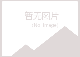 青岛崂山沙砾零售有限公司